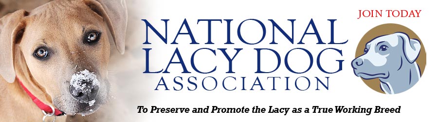 National Lacy Dog Association