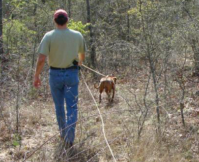 Lacy Tracking Dogs - National Lacy Dog Association